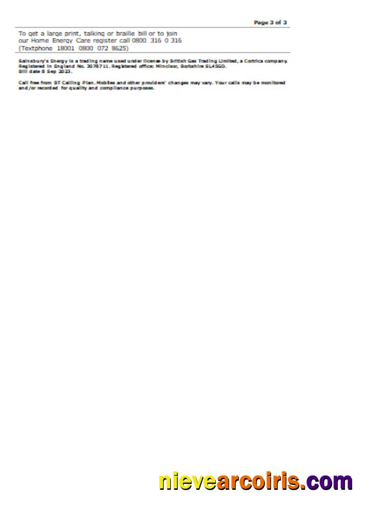 Sainsbury- Energy (British Gas) business utility bill, page 3